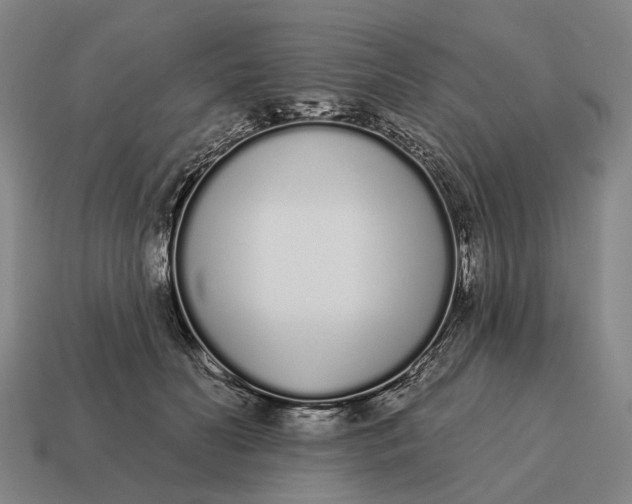 X0000115110606200911101607