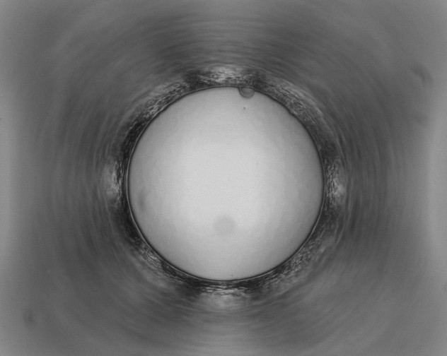 X0000115110607200911101607