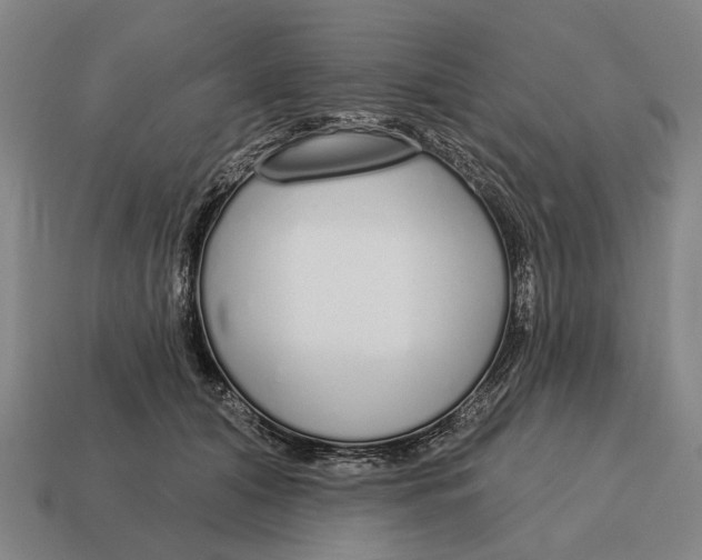 X0000115110608200911101607