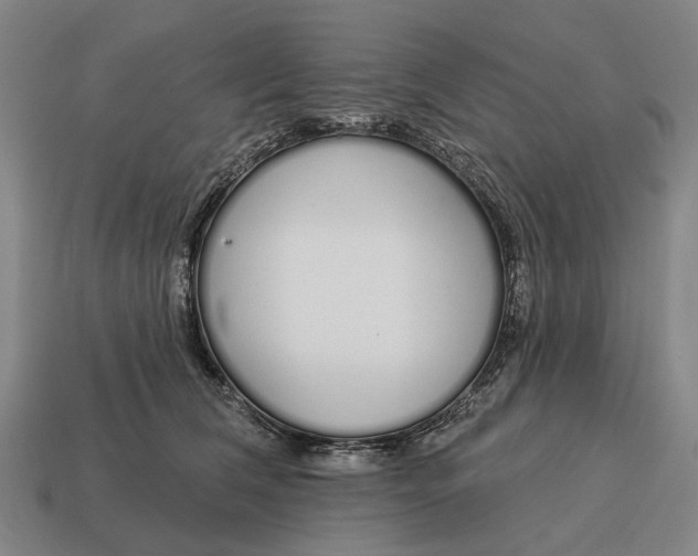 X0000115110612200911101607