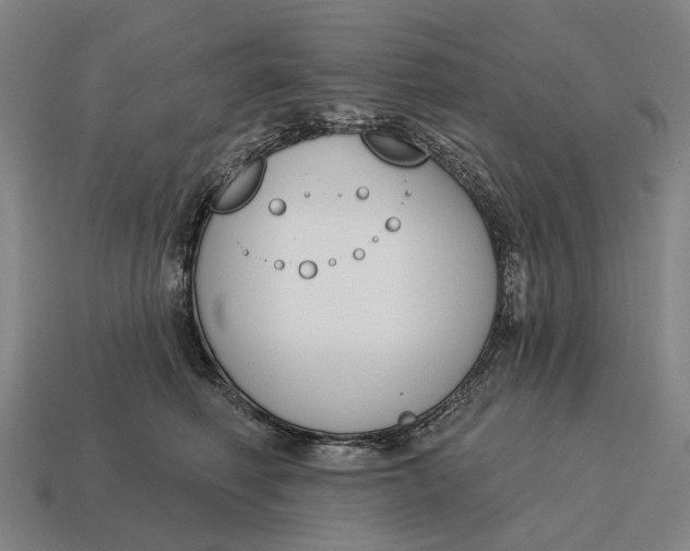 X0000115110614200911101607