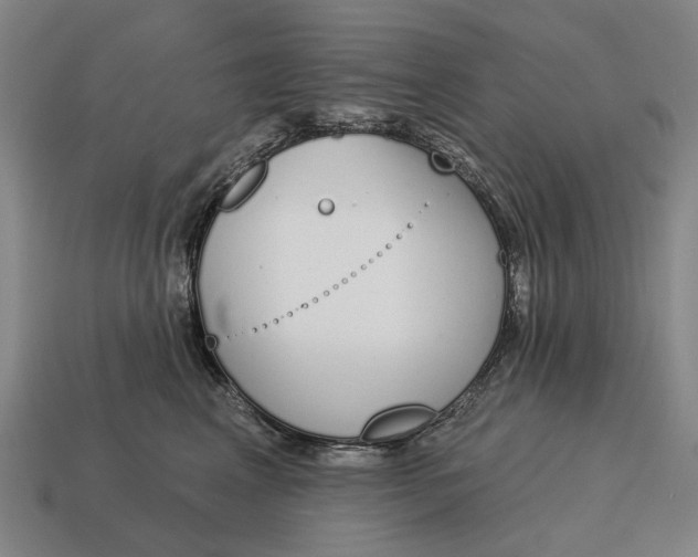 X0000115110617200911101607