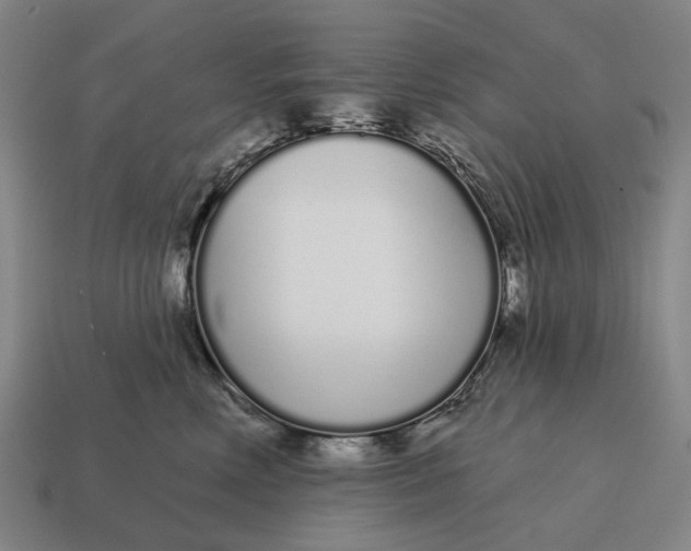 X0000115110618200911101607