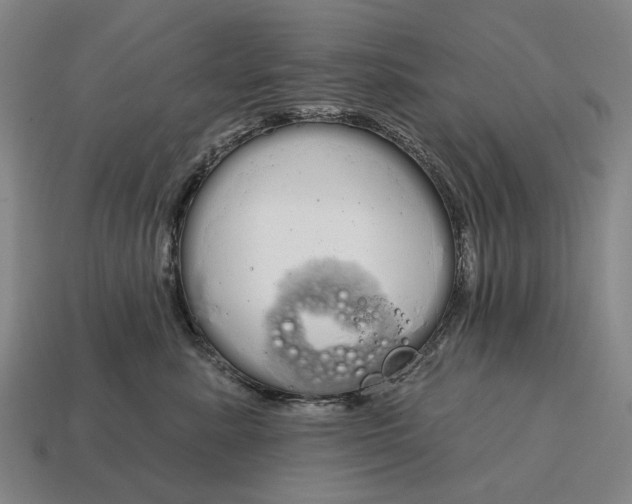 X0000115110619200911101607