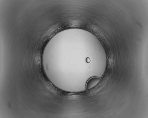 X0000115110620200911101607