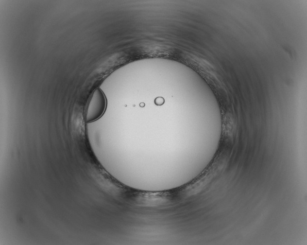X0000115110622200911101607