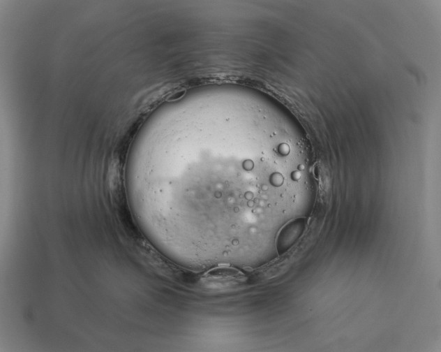 X0000115110623200911101607