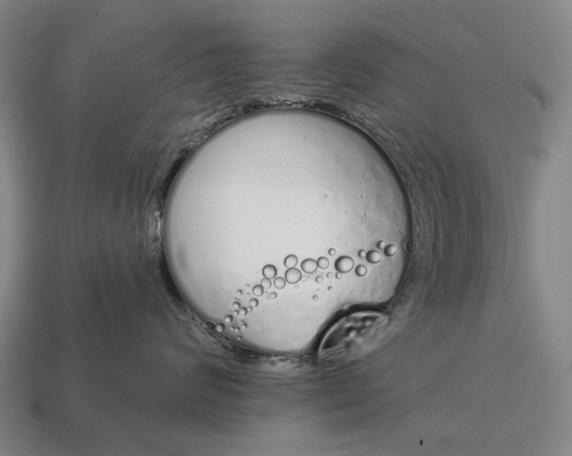 X0000115110624200911101607