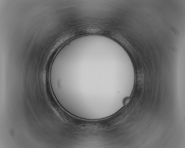 X0000115110626200911101606