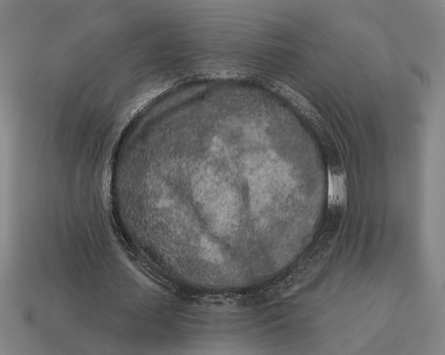 X0000115110627200911101606