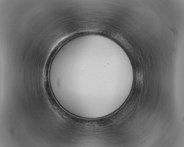 X0000115110628200911101606