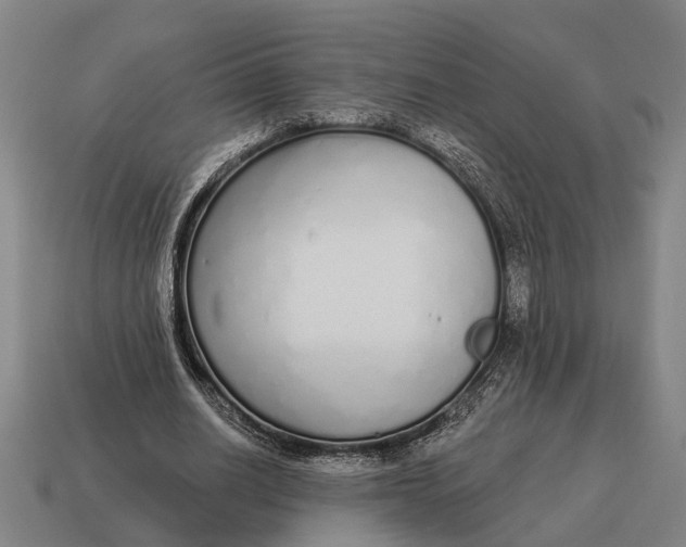 X0000115110630200911101606