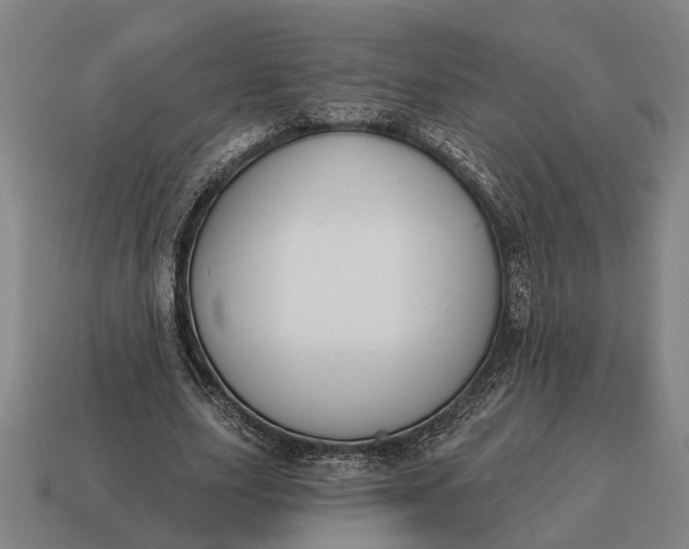 X0000115110631200911101606