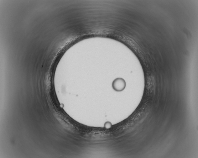 X0000115110632200911101606