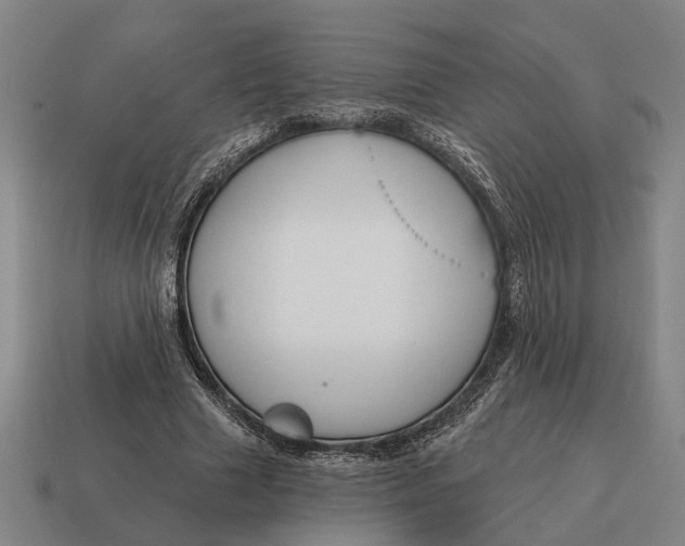 X0000115110633200911101606