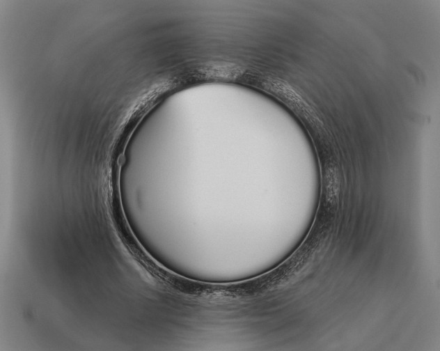 X0000115110634200911101606
