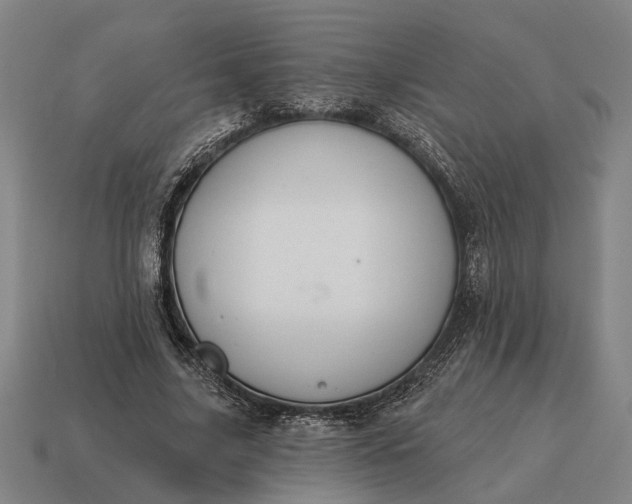 X0000115110635200911101606