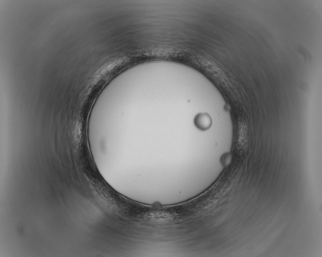 X0000115110636200911101606