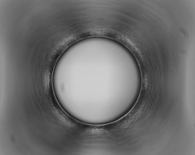X0000115110637200911101606