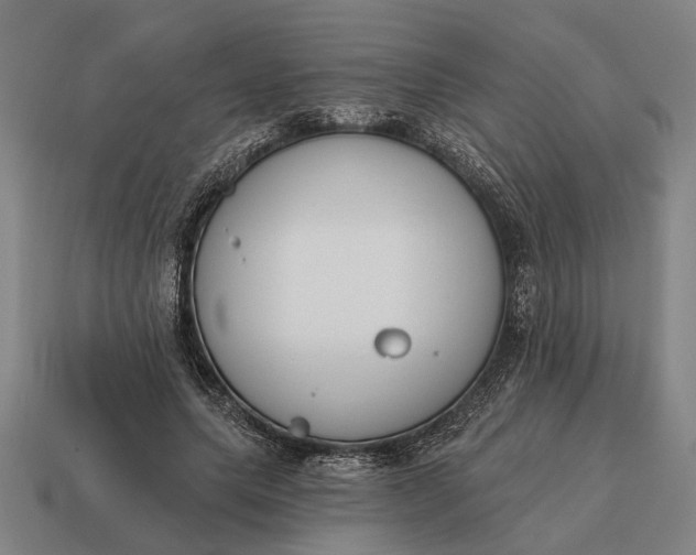 X0000115110639200911101606