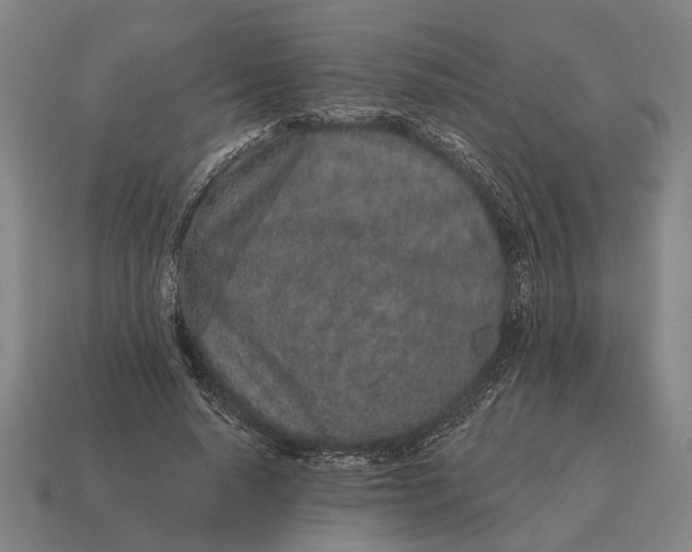 X0000115110640200911101606