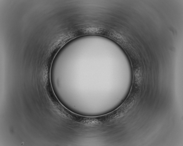 X0000115110642200911101606