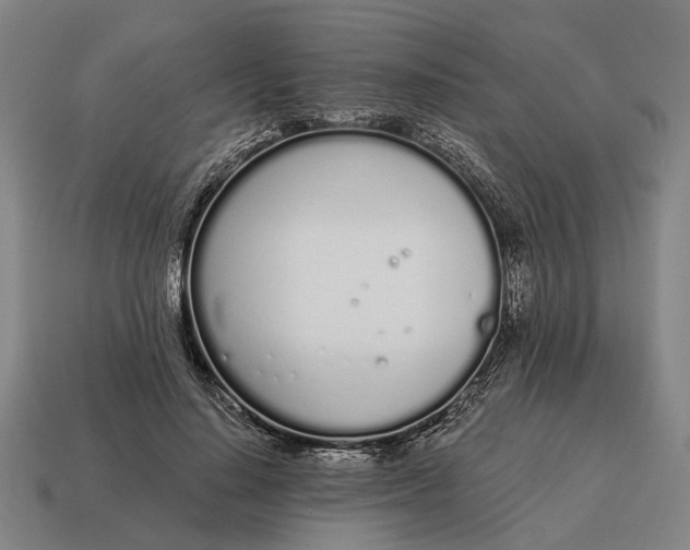 X0000115110644200911101606