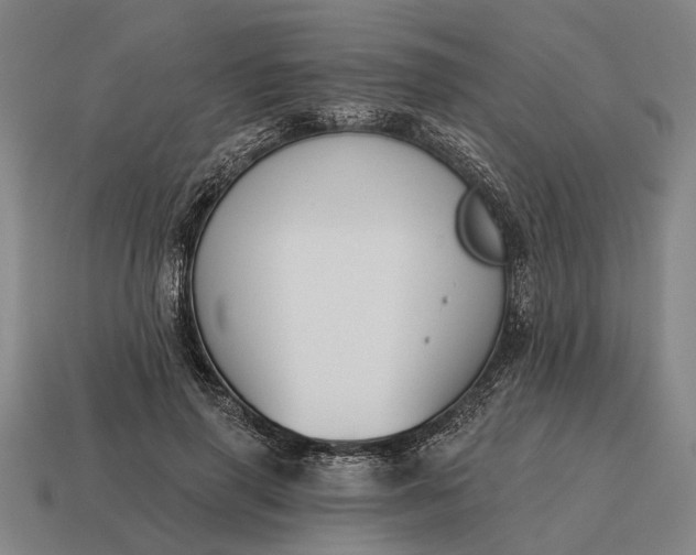X0000115110645200911101606