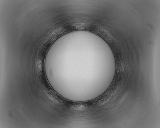 X0000115110646200911101606