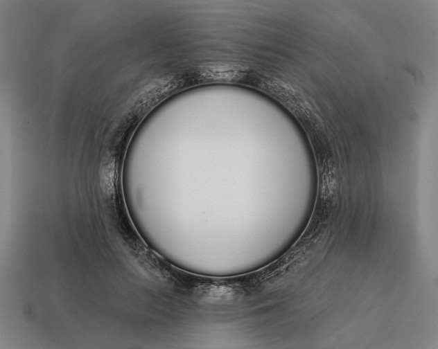 X0000115110647200911101606