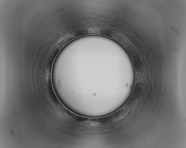 X0000115110648200911101606