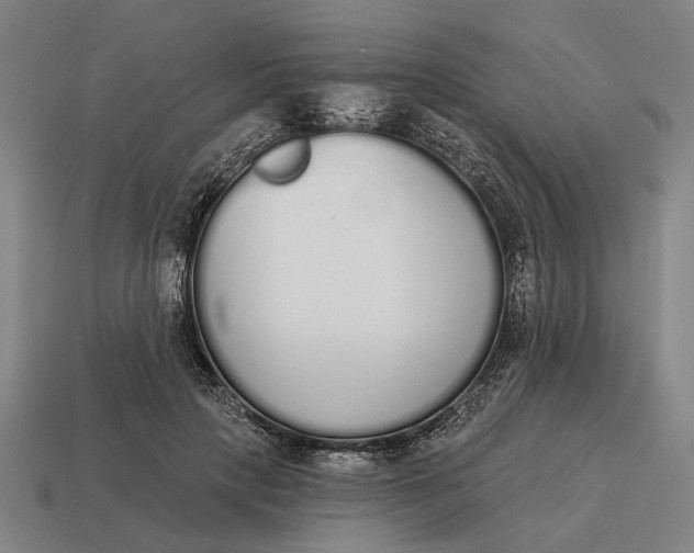 X0000115110649200911101606