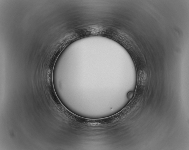 X0000115110650200911101606