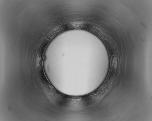 X0000115110651200911101607