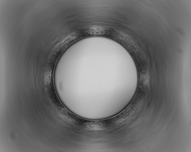 X0000115110652200911101607