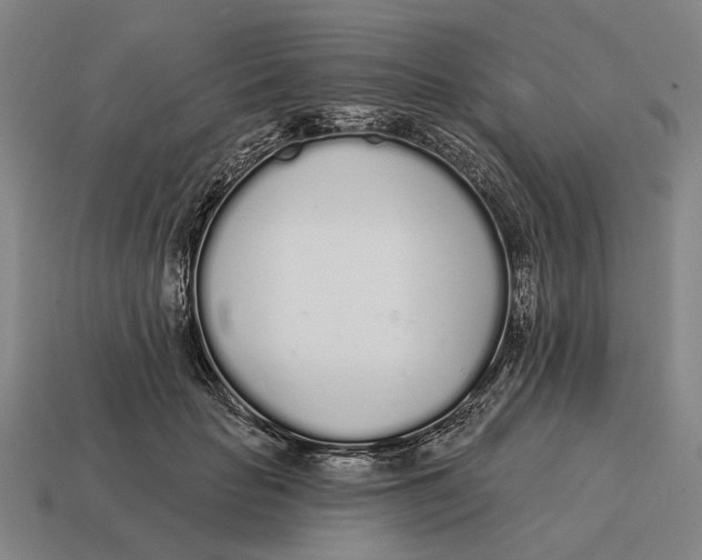 X0000115110653200911101607