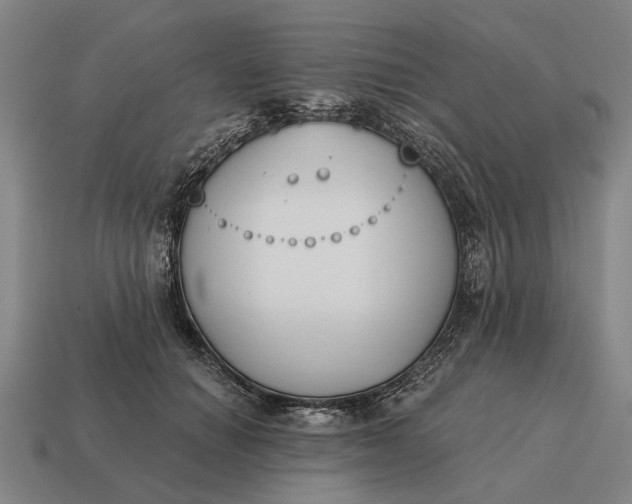 X0000115110654200911101607