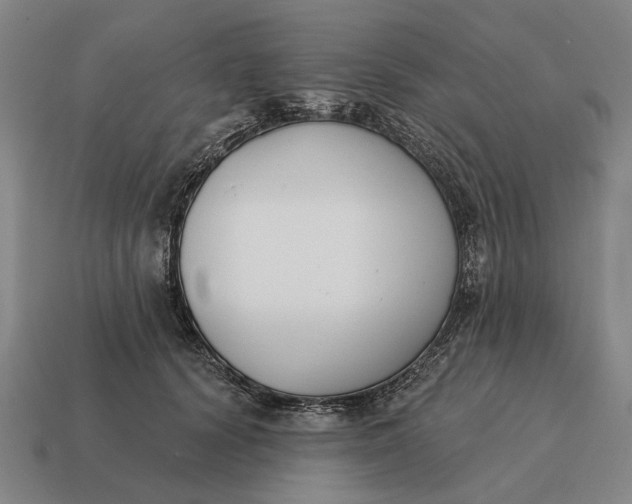 X0000115110656200911101607
