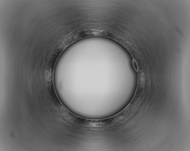 X0000115110657200911101607