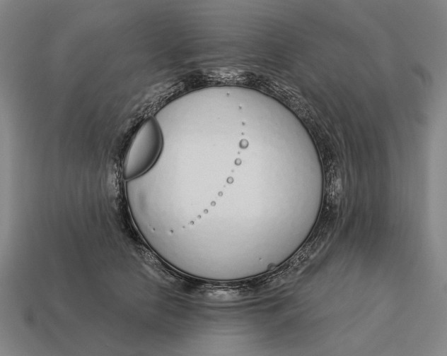 X0000115110658200911101607