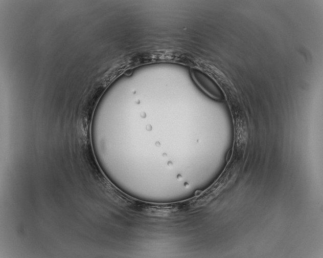 X0000115110661200911101607
