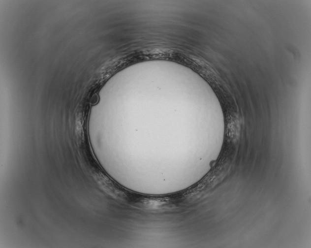 X0000115110662200911101607