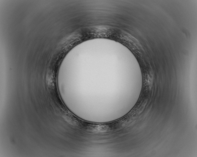 X0000115110663200911101607