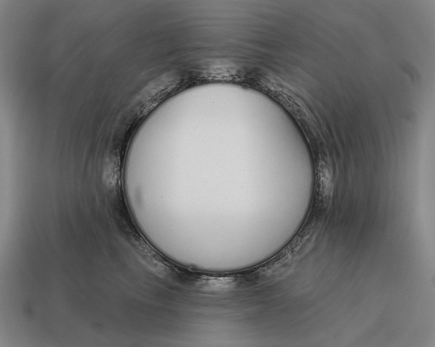X0000115110665200911101607