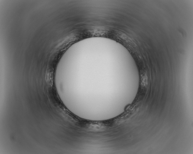 X0000115110666200911101607