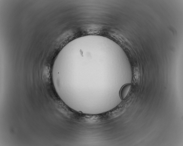 X0000115110667200911101607