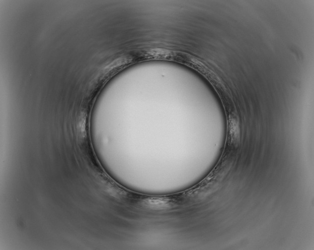 X0000115110668200911101607