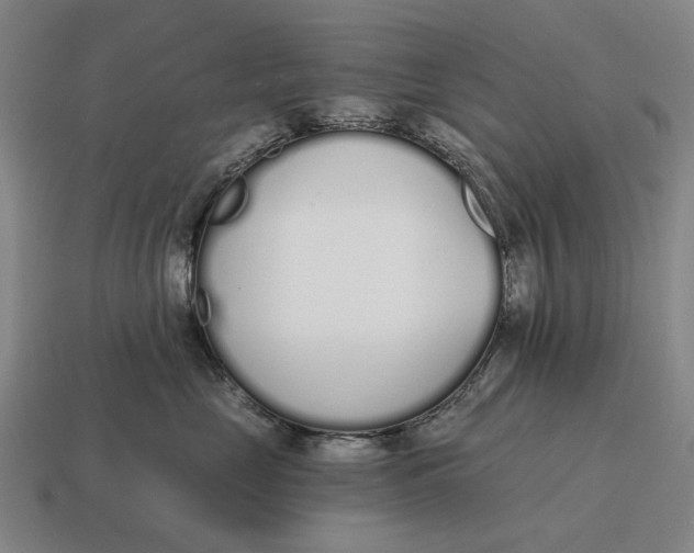 X0000115110669200911101607