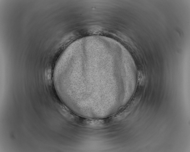 X0000115110670200911101607