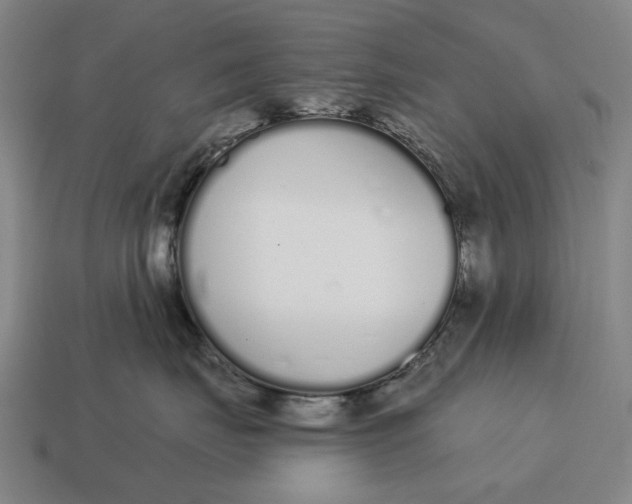 X0000115110671200911101607